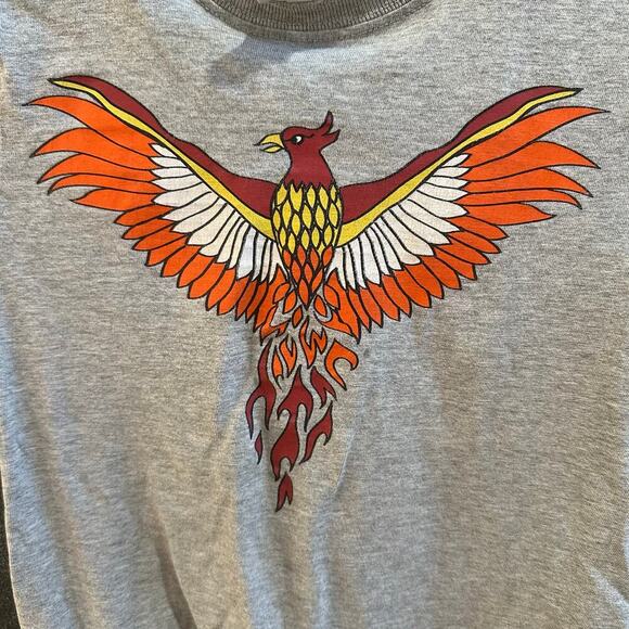 Hanna Andersson Phoenix Tee, VGUC (minor cracking), Sz 120cm (6-7) (6C) - Picture 3 of 6